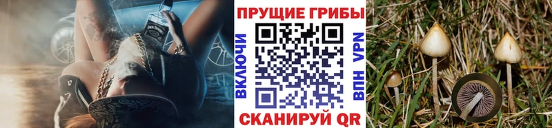 где найти наркотики  Краснослободск  ОМГ ОМГ зеркало  Галлюциногенные грибы мицелий 